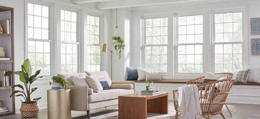 What are the best windows for homes