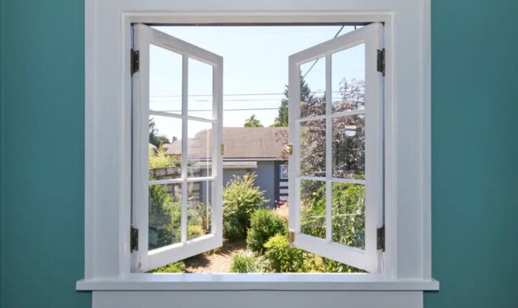 What are the best windows for homes