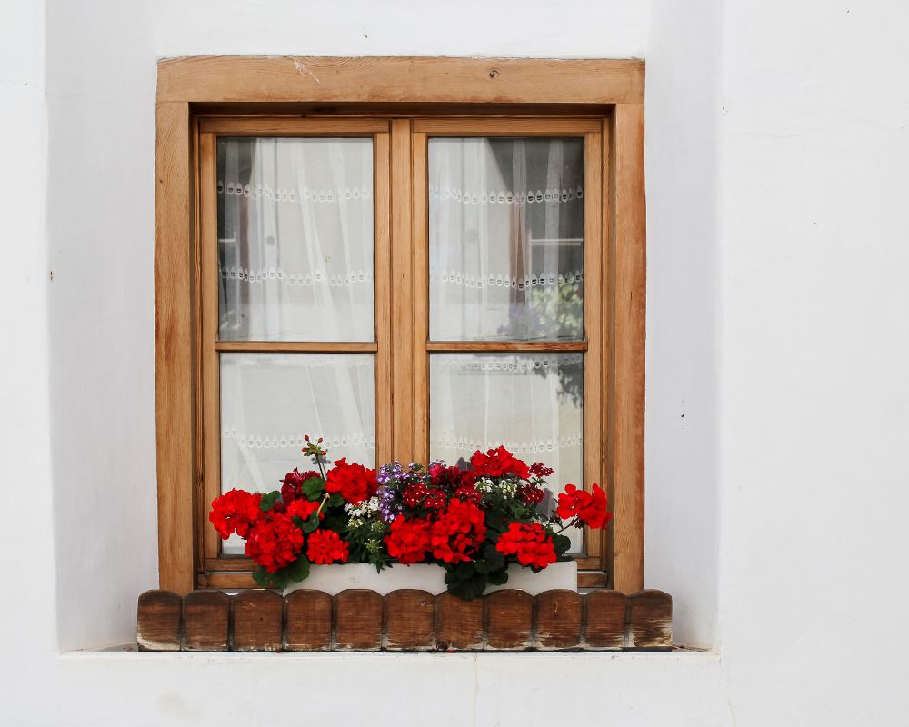 Window Services